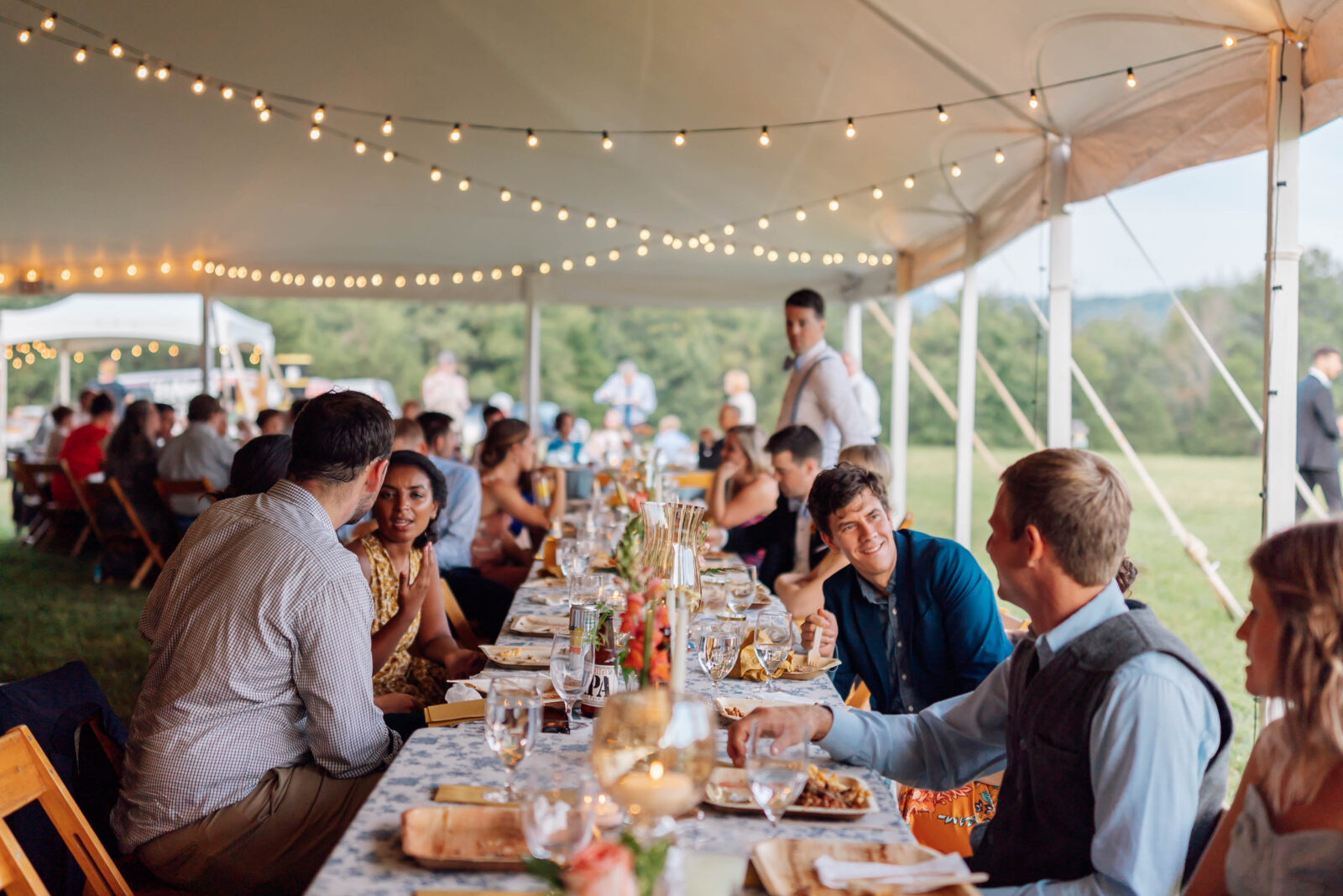 Romantic wedding reception dinner lighting and ambiance in the mountains of virginia
